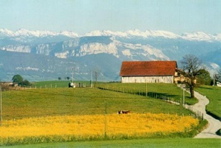 Gite La Grange Du Haut Saint-Antoine  Bagian luar foto