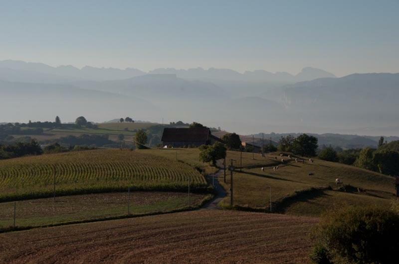 Gite La Grange Du Haut Saint-Antoine  Bagian luar foto